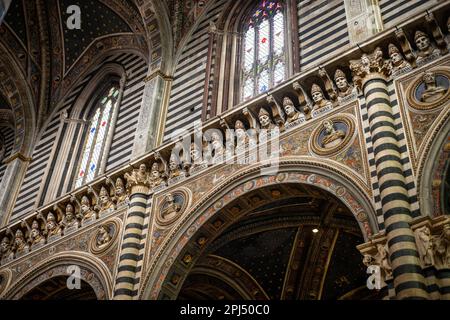 Teste di Papi nella Cattedrale di Siena Foto Stock