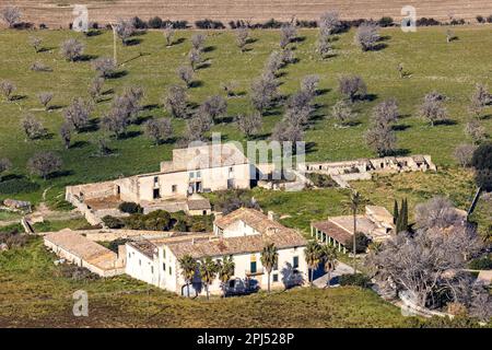 finca, tenuta rurale vicino villaggio Algaida a Maiorca, Maiorca, Isole Baleari, Spagna, Europa Foto Stock