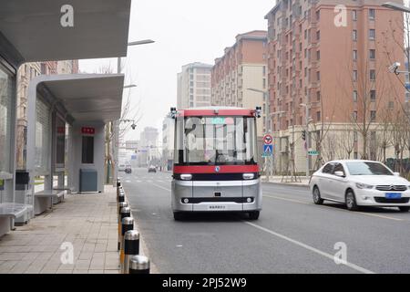 Xiong'an, provincia cinese di Hebei. 20th Mar, 2023. Un autobus intelligente collegato corre su una strada nell'area di Rongdong nella Nuova Area di Xiong'an, nella provincia di Hebei, nella Cina settentrionale, il 20 marzo 2023. Situata a circa 100 km a sud-ovest di Pechino, la Xiong'an New Area è stata progettata come un importante destinatario di funzioni precedentemente situate a Pechino, ma che non sono essenziali per il suo ruolo di capitale della Cina. Credit: MU Yu/Xinhua/Alamy Live News Foto Stock