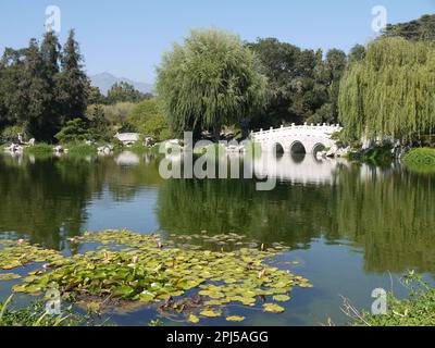 Jade Ribbon Bridge sul lago di Fragrance riflessa nel giardino cinese di Fragrance fluente, Huntington Botanical Gardens, San Marino Foto Stock