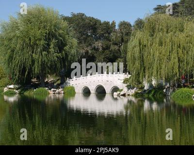 Jade Ribbon Bridge sul lago di Fragrance riflessa nel giardino cinese di Fragrance fluente, Huntington Botanical Gardens, San Marino Foto Stock