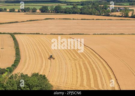 Irlanda, Contea di Laois, mietitrebbia che lavora in un campo di orzo sotto la roccia di Dunamase. Foto Stock