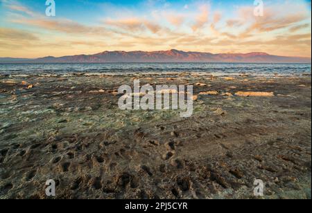 Il mare di Salton in California Foto Stock