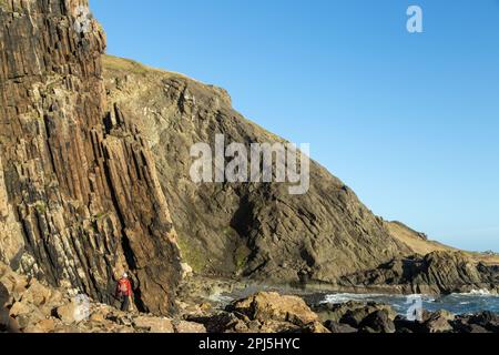Una persona che cammina tra le sezioni della scogliera sulla famosa passeggiata a catena a Earlsferry, Elie, Fife, Scozia Foto Stock