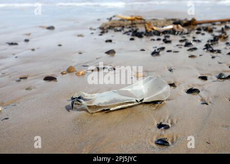 Rifiuti di plastica lavati su una spiaggia, Inghilterra del Nord, Regno Unito Foto Stock