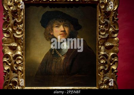 Autoritratto da giovane (1634) di Rembrandt negli Uffizi Foto Stock