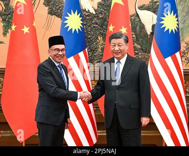 Pechino, Cina. 31st Mar, 2023. Il presidente cinese Xi Jinping incontra il primo ministro della Malesia Datuk seri Anwar Ibrahim alla Grande Sala del Popolo a Pechino, capitale della Cina, il 31 marzo 2023. Credit: Rao Aimin/Xinhua/Alamy Live News Foto Stock