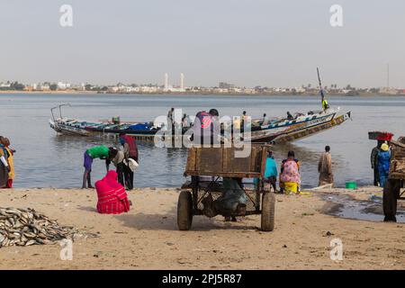 Dakar, Senegal. 18 agosto 2019: Persone che comprano e vendono pesce appena sbarcato sulla spiaggia a Dakar, Senegal, Africa occidentale Foto Stock