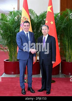 Pechino, Cina. 31st Mar, 2023. Zhao Leji, presidente del Comitato permanente del Congresso popolare Nazionale, incontra il primo ministro spagnolo Pedro Sanchez a Pechino, capitale della Cina, il 31 marzo 2023. Credit: Yue Yuewei/Xinhua/Alamy Live News Foto Stock