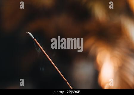 Dettagli di bruciare incenso. Concetto di relax e meditazione. Fumo aromaterapico Foto Stock