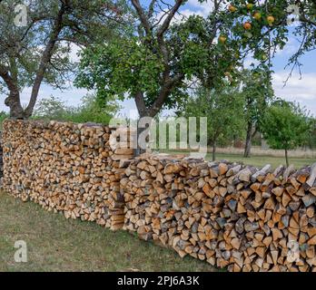 Grande pila di legno sotto vecchi alberi da frutto in un frutteto Foto Stock