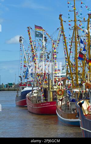 Taglierina di granchio decorata nel porto di Neuharlingersiel, distretto di Wittmund, Germania Foto Stock