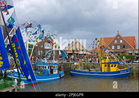 Taglierina di granchio decorata nel porto di Neuharlingersiel, distretto di Wittmund, Germania Foto Stock