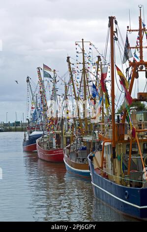 Taglierina di granchio decorata nel porto di Neuharlingersiel, distretto di Wittmund, Germania Foto Stock