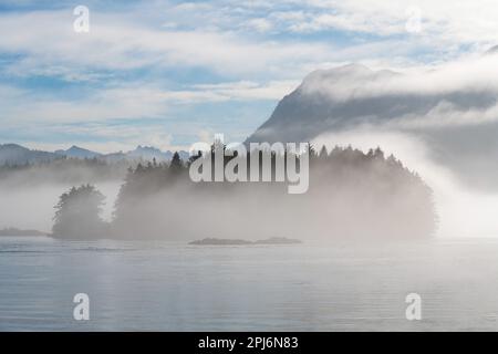 L'isola di Meares nella nebbia vista dal porto di Tofino, Vancouver Island, British Columbia, Canada. Foto Stock