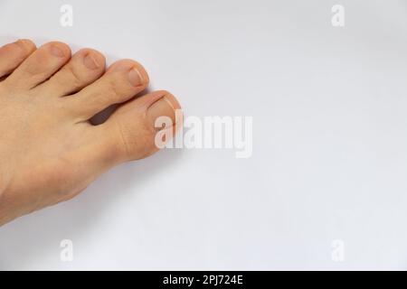 gambe femminili su sfondo bianco primo piano Foto Stock