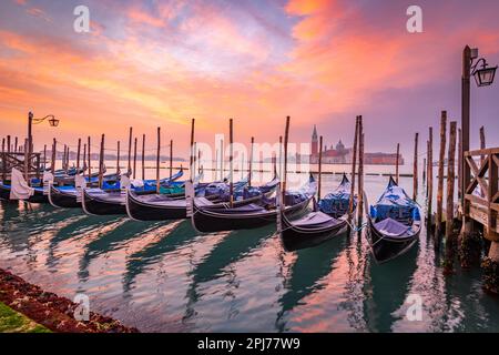 Gondole a Venezia all'alba sul Canal Grande. Foto Stock