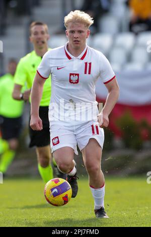 Cracovia, Polonia. 25th Mar, 2023. Milosz Brzozowski di Polonia visto in azione durante il Campionato europeo Under-19 2023-Elite round Match tra Polonia e Lettonia al Centro di formazione di Cracovia. Punteggio finale; Polonia 3:0 Lettonia. (Foto di Grzegorz Wajda/SOPA Images/Sipa USA) Credit: Sipa USA/Alamy Live News Foto Stock