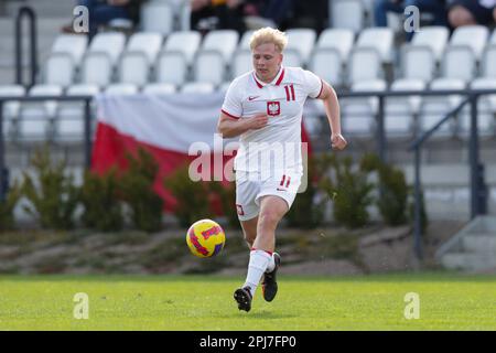 Cracovia, Polonia. 25th Mar, 2023. Milosz Brzozowski di Polonia visto in azione durante il Campionato europeo Under-19 2023-Elite round Match tra Polonia e Lettonia al Centro di formazione di Cracovia. Punteggio finale; Polonia 3:0 Lettonia. (Foto di Grzegorz Wajda/SOPA Images/Sipa USA) Credit: Sipa USA/Alamy Live News Foto Stock