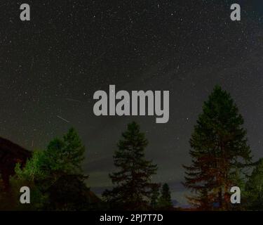 Cielo stellato con una stella di tiro sopra le corone di pini di notte all'ombra di una montagna in Altai. Foto Stock