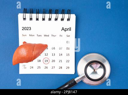 Aprile 19th scrivania calendario e fegato umano artificiale con stetoscopio medico. Concetti della Giornata Mondiale del fegato. Foto Stock