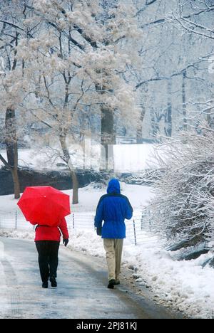 Una coppia che indossa rosso e blu e porta con sé un ombrello, cammina attraverso Central Park durante una forte tempesta di neve a New York City Foto Stock