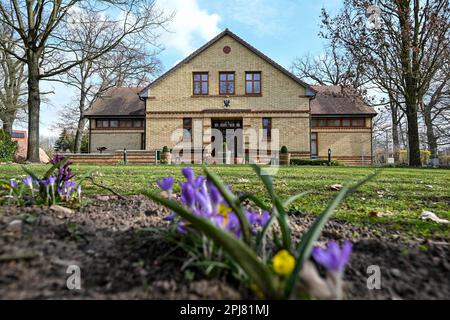 22 marzo 2023, Brandeburgo, Wustrau: Il Museo Brandeburgo-Prussia (BPM), un museo di storia Brandeburgo-Prussia, è ora nuovamente aperto ai visitatori dopo la pausa invernale. Nella mostra principale viene mostrata la storia del Brandeburgo e della Prussia dalla cristianizzazione nel Medioevo alla fine della prima guerra mondiale e la dominazione degli Hohenzollern nel 1918. Il Museo Brandeburgo-Prussia si considera un luogo di educazione e di trasferimento di conoscenze. Nell'ambito delle offerte didattiche digitali, il museo ha lanciato il suo podcast "Prussian Blue - a podcast on Prussian History" nel febbraio 2022. Foto: Jens K Foto Stock