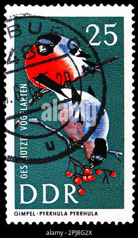 MOSCA, RUSSIA - 25 MARZO 2023: Francobollo stampato in Germania mostra Eurasian Bullfinch (Pyrhula pirrhula), Protected Birds (1967) serie, circa 19 Foto Stock