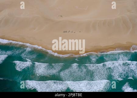 Vista aerea di un remoto tratto di spiaggia tra Woody Cape e Colchester. Foto Stock