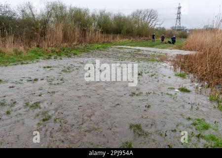 1 aprile 2023. Dopo la marcia più umida in Inghilterra da oltre 40 anni, l'Edenbrook Country Park di Fleet, Hampshire, Regno Unito, è gravemente allagato. Le condizioni atmosferiche estreme, come le alte precipitazioni, possono essere legate al cambiamento climatico. Foto Stock