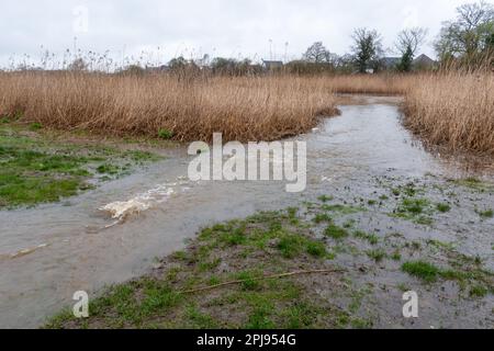 1 aprile 2023. Dopo la marcia più umida in Inghilterra da oltre 40 anni, l'Edenbrook Country Park di Fleet, Hampshire, Regno Unito, è gravemente allagato. Le condizioni atmosferiche estreme, come le alte precipitazioni, possono essere legate al cambiamento climatico. Foto Stock