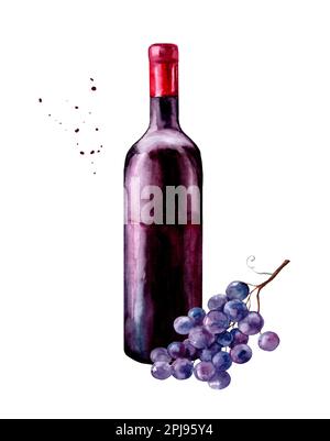 Bottiglia di vino rosso con grappolo d'uva. Pittura ad acquerello disegnata a mano isolata su sfondo bianco Foto Stock