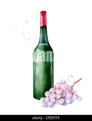 Bottiglia di vino bianco con grappolo d'uva. Pittura ad acquerello disegnata a mano isolata su sfondo bianco Foto Stock