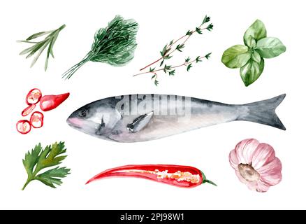 Set di illustrazioni acquerello di trote ed erbe isolate su sfondo bianco. Rosmarino, basilico, peperoncino e aglio disegnato a mano. Foto Stock