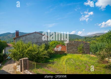 Orizzontale. El Cardoso de la Sierra, provincia di Guadalajara, Castilla la Mancha, Spagna. Foto Stock