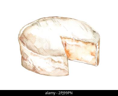 Tipo Brie di formaggio. Camembert maturo, formaggio italiano a muffa bianca, set di formaggi francesi. Illustrazione di acquerello disegnata a mano, isolata su sfondo bianco Foto Stock