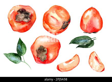 Set di acquerelli disegnati a mano isolati su sfondo bianco. Illustrazione di persimmon di frutta. Cibo fresco. Foto Stock