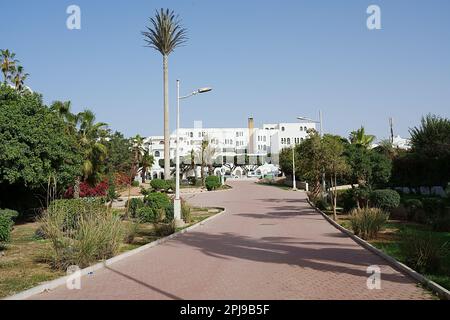 Piante esotiche con passeggiata nella città AFRICANA DI AGADIR in Marocco, cielo blu chiaro in 2023 caldo giorno invernale soleggiato il mese di gennaio. Foto Stock