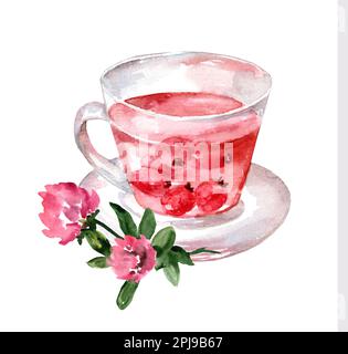 Tè alle erbe con fiori di rosa rossa fresca di trifoglio selvatico e rosa selvatico. Pittura ad acquerello disegnata a mano isolata su sfondo bianco Foto Stock