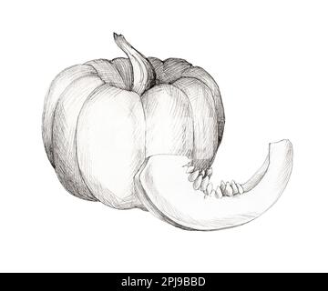 Zucche doodle. Illustrazione in bianco e nero disegnata a mano. Foto Stock