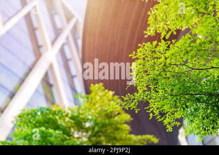 Verde città buona ecologia ambiente albero parco intorno a un moderno edificio di uffici per aria fresca ozono a basso tenore di carbonio. Foto Stock