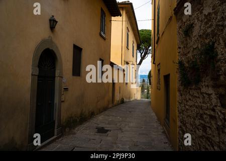 Collina di Bellosguardo, Firenze . Un punto di vista della città. Foto Stock