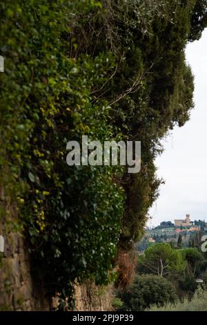 Si sale sul colle Bellosguardo, Firenze Sud Foto Stock