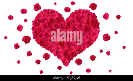 Forma del cuore realizzata con rose rosse su sfondo bianco. Foto Stock