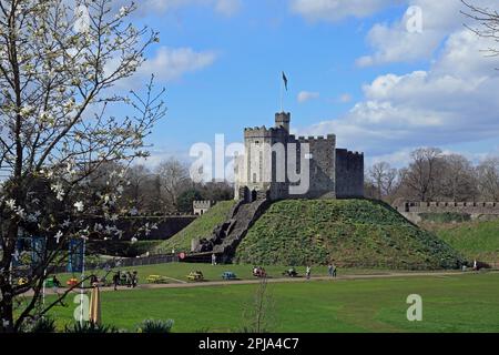 Castello di Cardiff il Norman Keep. Marzo 2023. Molla Foto Stock