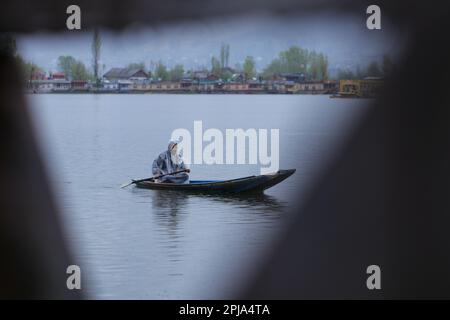 1 aprile 2023, Srinagar, Jammu e Kashmir, India: Un barcaiolo visto indossare un impermeabile rema la sua barca durante la pioggia a Srinagar. Il reparto meteorologico di sabato ha detto che la pioggia intermittente nelle pianure e nevicate sopra le alte portate era molto probabile continuare alla maggior parte dei posti di Jammu e Kashmir nelle prossime 24 ore. (Credit Image: © Adel Abbas/ZUMA Press Wire) SOLO PER USO EDITORIALE! Non per USO commerciale! Credit: ZUMA Press, Inc./Alamy Live News Foto Stock