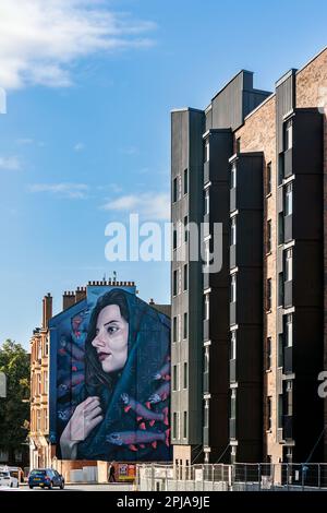 Vista sulla strada a Glasgow Foto Stock