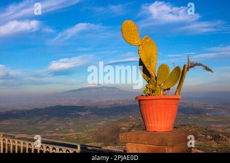 Vaso di fico di pera e vulcano Etna coperto di neve sullo sfondo. Aidone, Sicilia Foto Stock