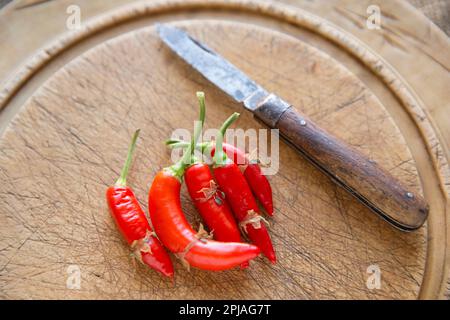 Peperoncini rossi coltivati in casa accanto a un vecchio coltello da penna poggiato su un tagliere di legno. Inghilterra Regno Unito GB Foto Stock