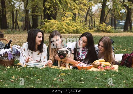 Gruppo di quattro giovani donne fuori nel parco in un picnic divertente, avendo un buon tempo con un cane pug carino. Foto Stock